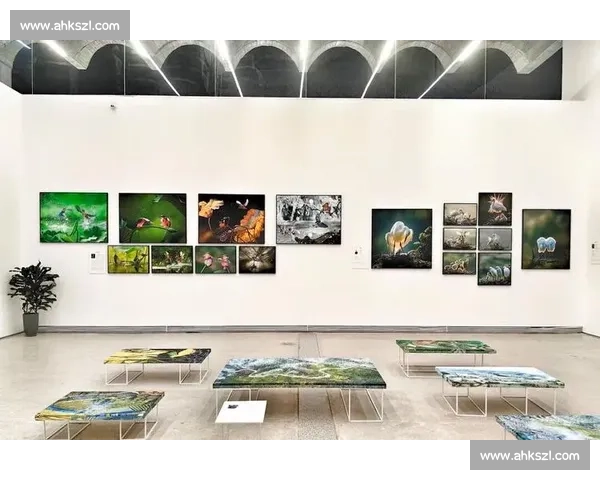 探索视觉艺术的极限:2026年国际摄影大赛创意作品征集 探索视觉艺术的极限:2026年国际摄影大赛创意作品征集
